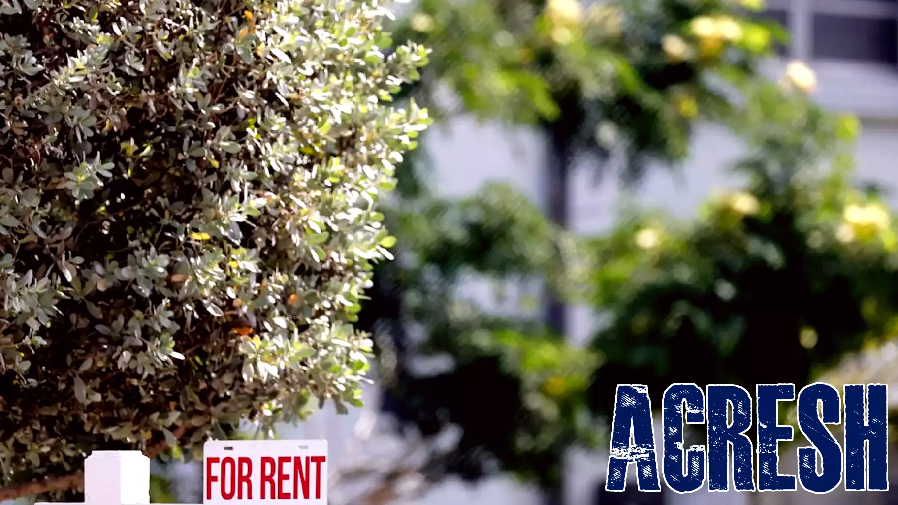 Shifting Dynamics: South Florida's Real Estate Market Favors Buyers